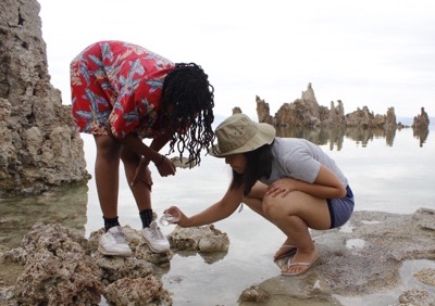Field courses boost STEM diversity, study reveals