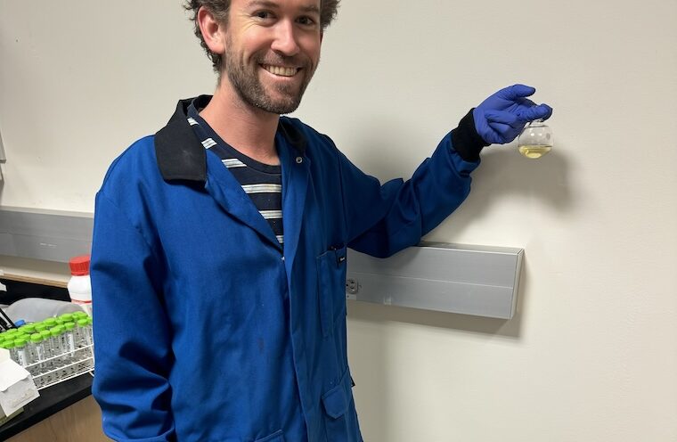New chemical process makes biodiesel production easier, less energy intensive