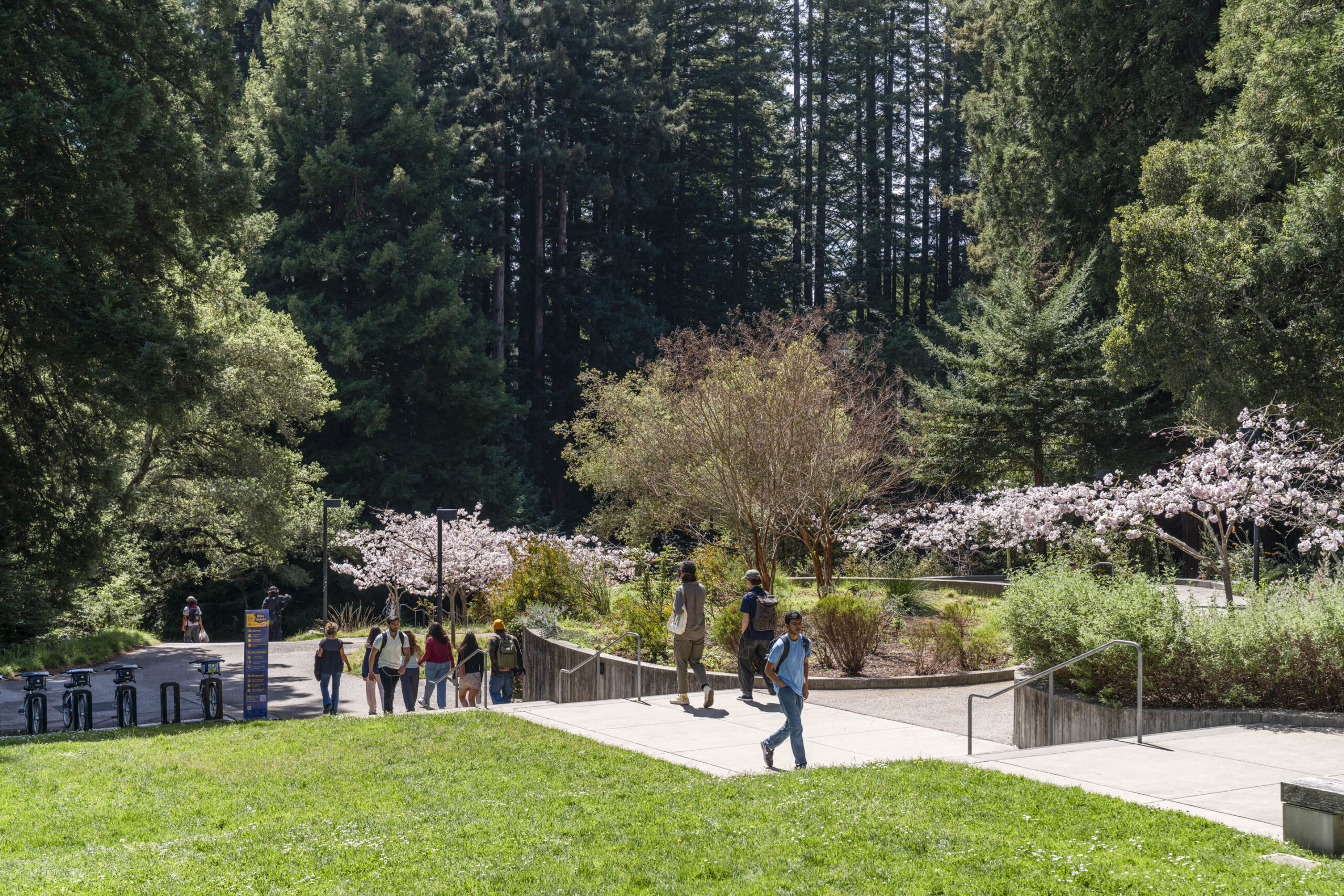 Campus life in Spring